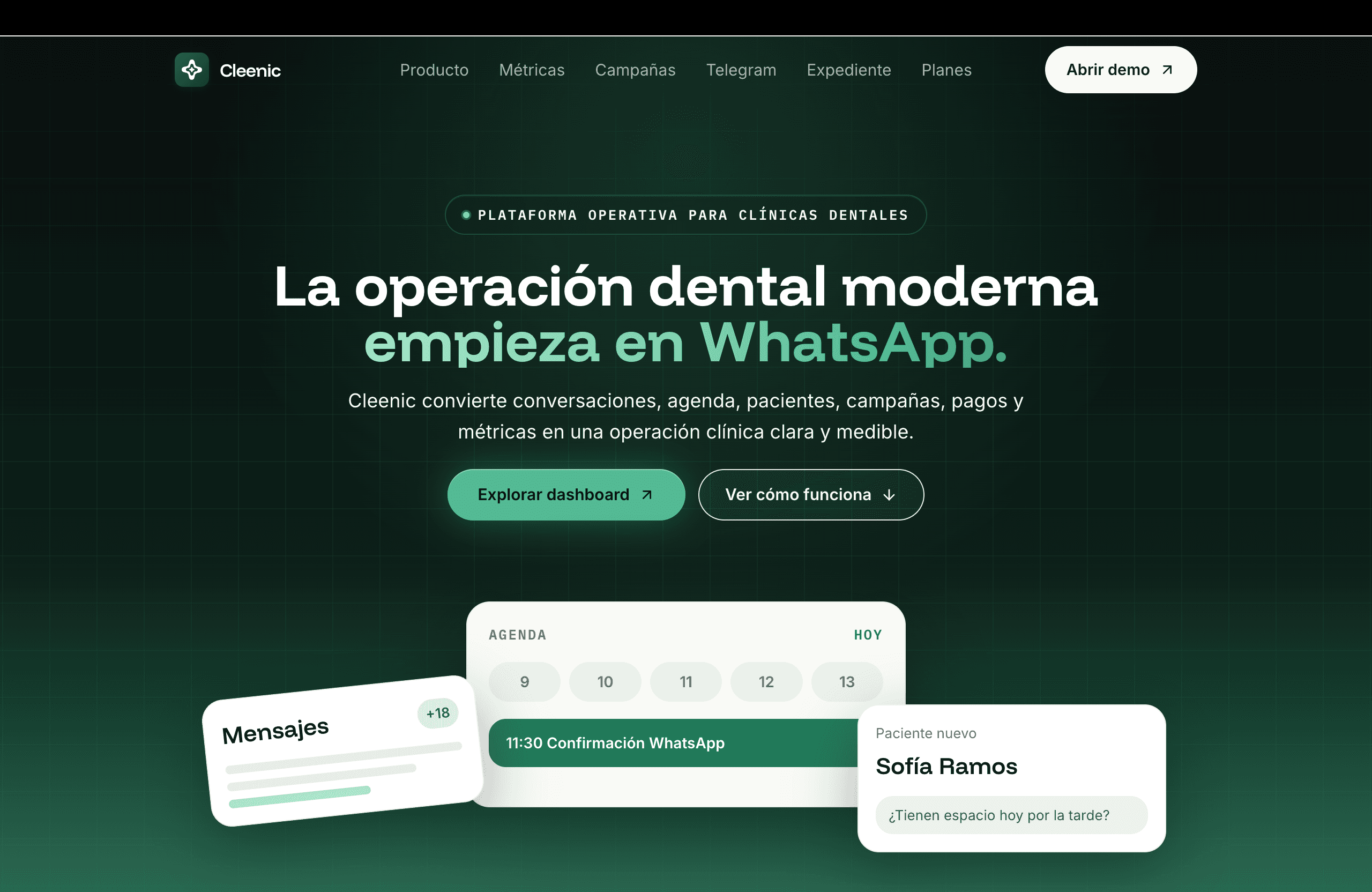 Hero del proyecto web de Cleenic